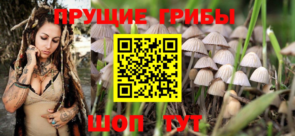 Шахты  цена наркотик  Вход с VPN  Псилоцибиновые грибы Psilocybine cubensis  Галлюциногенные грибы MAGIC MUSHROOMS 